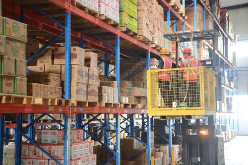 數(shù)字化轉型 一場被低估的食品行業(yè)物流戰(zhàn)爭